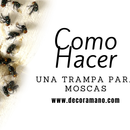 como-hacer-una-trampa-para-moscas